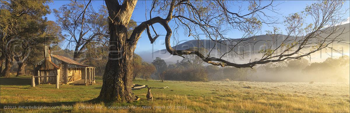 Peter Bellingham Photography Oldfields Hut - Kosciuszko NP - NSW (PBH4 00 12815)